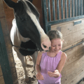 Dimples Horse Treats - Dianna Manz