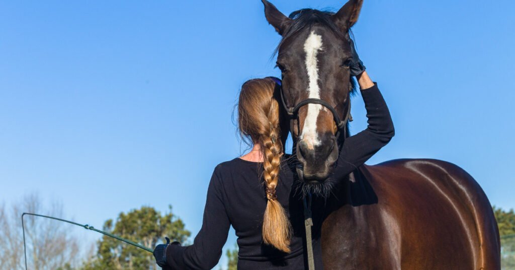 3 Ways to Use Treats in Your Horse Training