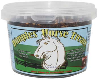 Dimples Horse Treats Bucket, filled with a delightful assortment of safe and tasty treats!
